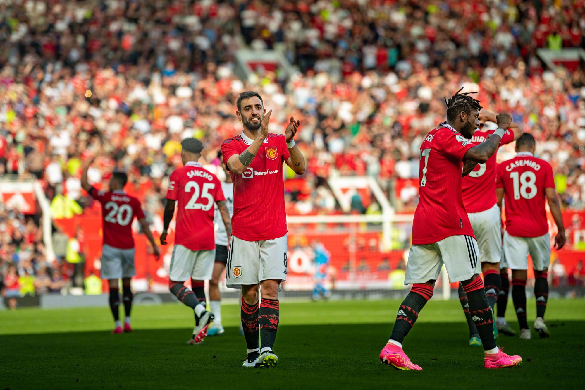 表现充满期 表现充满期